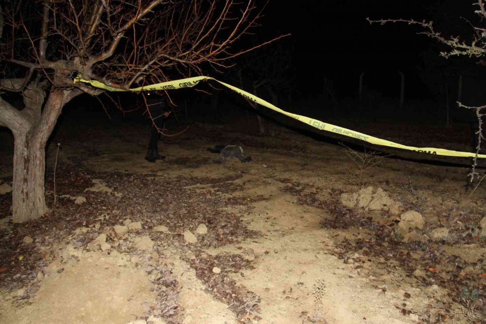 Konya’da kontrolden çıkan kamyonet takla attı: 1 ölü, 1 yaralı