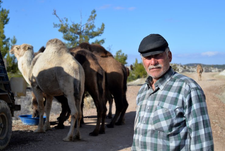 Sarıkeçili Yörüklerin Konya'dan güneye yolculuğu sürüyor