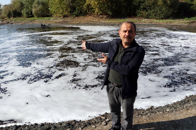 Ceyhan Nehrine dökülen kimyasal atıklar, binlerce arı ve balığı öldürdü