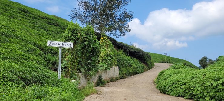 3 kızını tabancayla başlarından vurarak öldüren müezzin: Her cezaya razıyım
