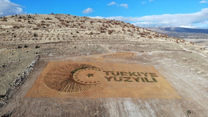 Binlerce fidanla "Türkiye Yüzyılı" logosu oluşturuldu