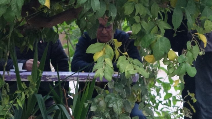 Tartıştığı annesinin boğazına ekmek bıçağı saplayarak öldürdü