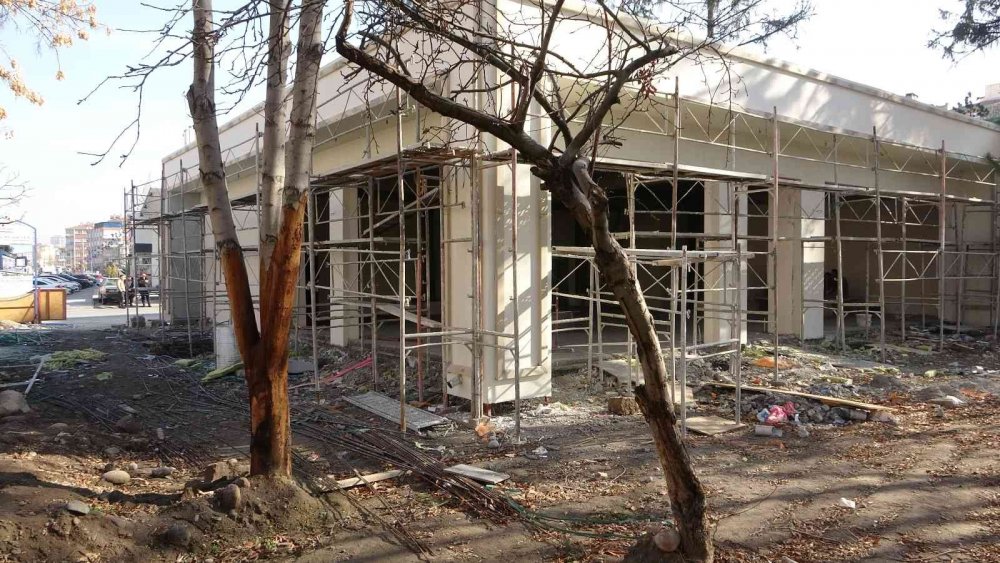 Görenler şaşırıyor, ağaçları kesmedi ortaya bu görüntüler çıktı