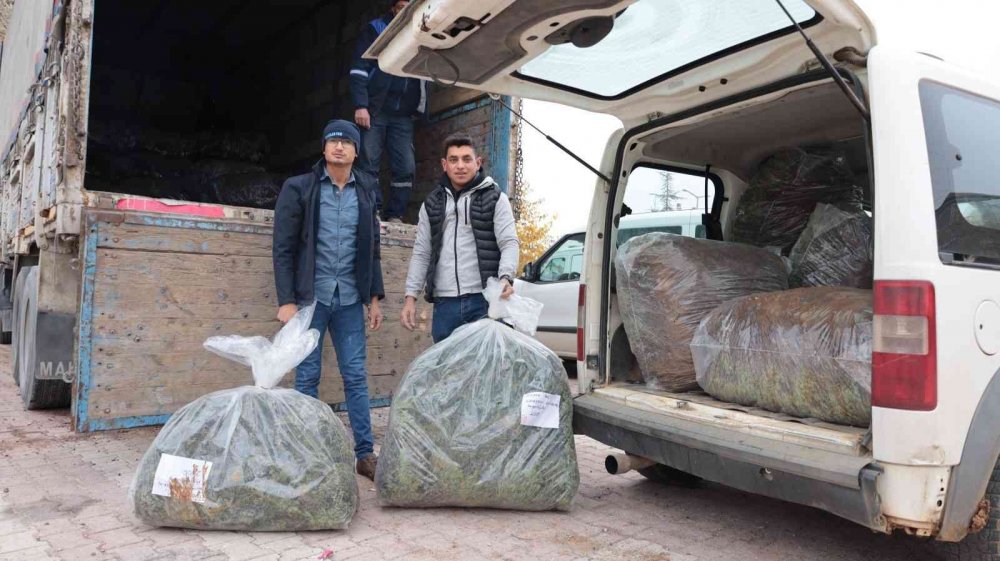 Konya'nın bu ilçesinde kurak araziler kıymete bindi! Toplam 2 milyona yakın fide dağıtıldı