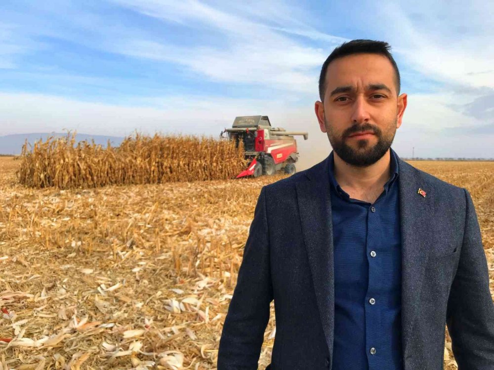 Türkiye’nin mısır üretiminin yüzde 30’u tahıl ambarı Konya'dan