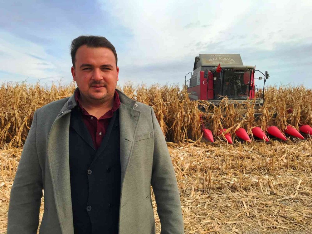 Türkiye’nin mısır üretiminin yüzde 30’u tahıl ambarı Konya'dan