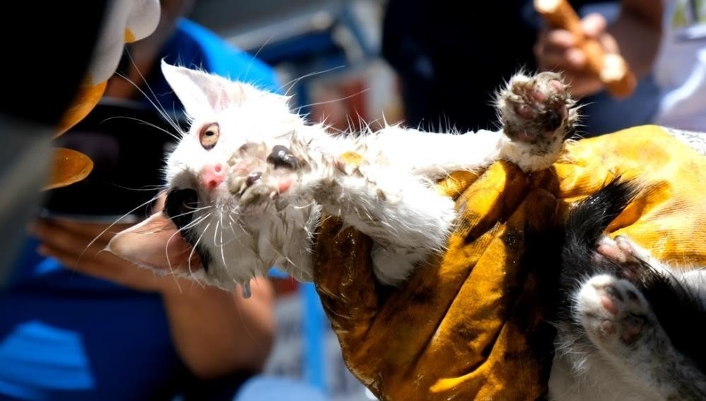 Araç sürücülerine “Kaputa vur” uyarısı