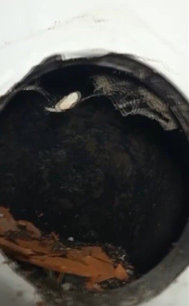 Ev sahibinin yaptıkları pes dedirtti! Baca borusundan...