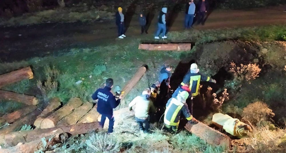 Tomruk yüklü kamyon şarampole devrildi, sürücü öldü