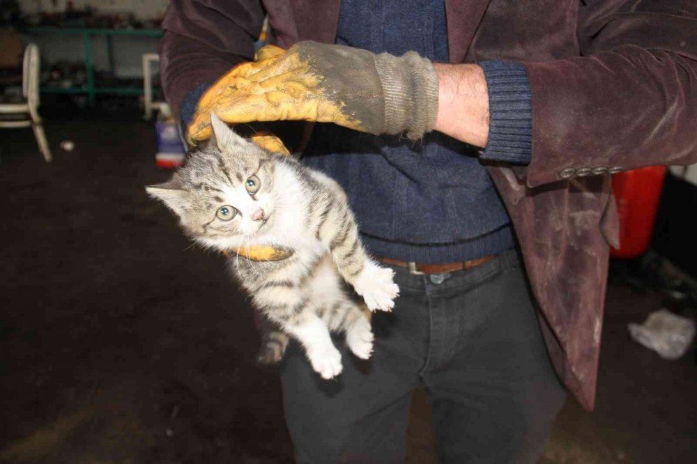 Konya'da otomobilin motor kısmında kedi farkedilince...