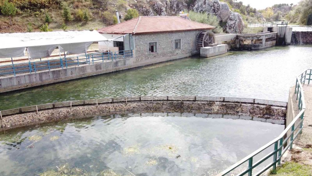 Konya'daki tarihi su değirmenini kuraklık vurdu