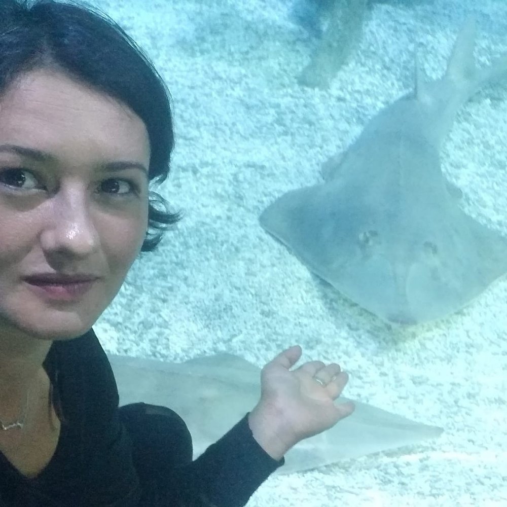 Trafik kazası geçiren 3 çocuk annesi Zeynep, 2 ay sonra yaşam savaşını kaybettiama tutunamadı