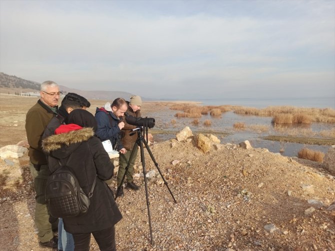 Beyşehir Gölü'nde kış ortası su kuşu sayımı tamamlandı