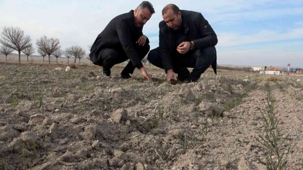 Nüfusunun yüzde 80'inin tarım ve hayvancılıktan geçimini sağladığı Aksaray'da kuraklık endişesi