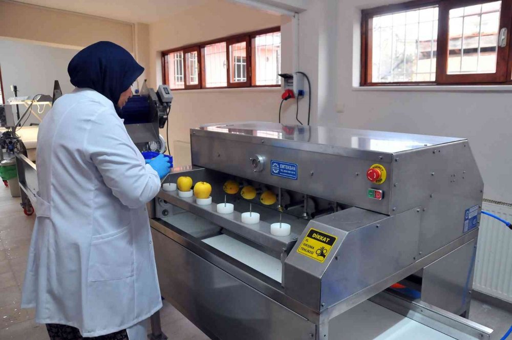 Konya'da sadece kadınların görev yapacağı meyve kurutma tesisi kuruldu