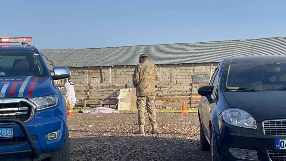 Silahlı saldırıda 3 kişi kafasından vurularak öldürüldü