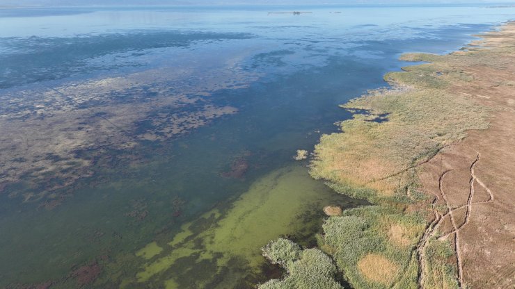 Beyşehir Gölü, can çekişiyor