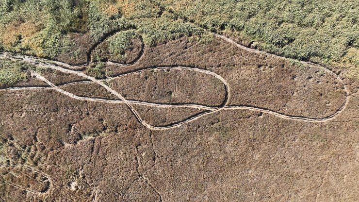 Beyşehir Gölü, can çekişiyor