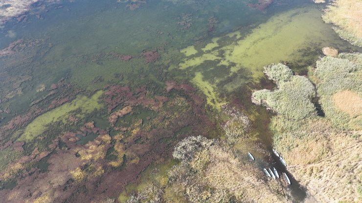 Beyşehir Gölü, can çekişiyor