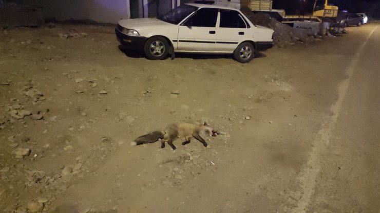 Tilkiye çarpan otomobil, kaldırıma çıktı: 4 yaralı