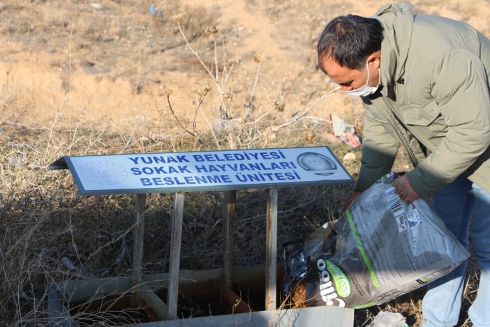 yunak-belediyesi-sokak-hayvanlarini-unutulmadi-1.jpg