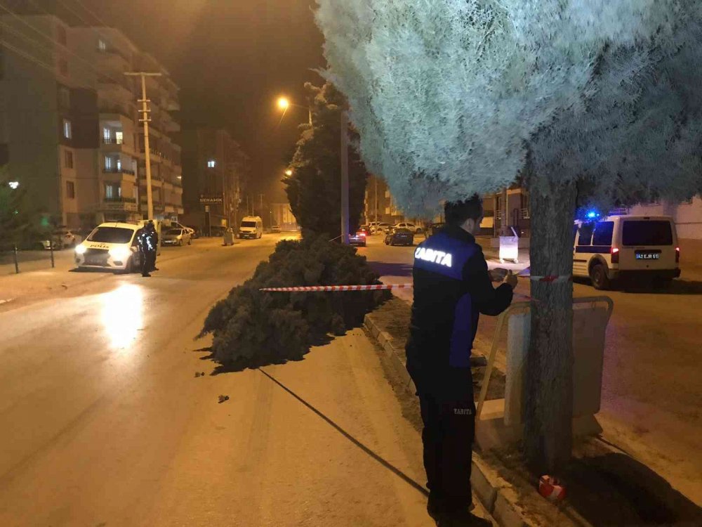Konya’da şiddetli rüzgar etkili oldu, ağaçlar devrildi