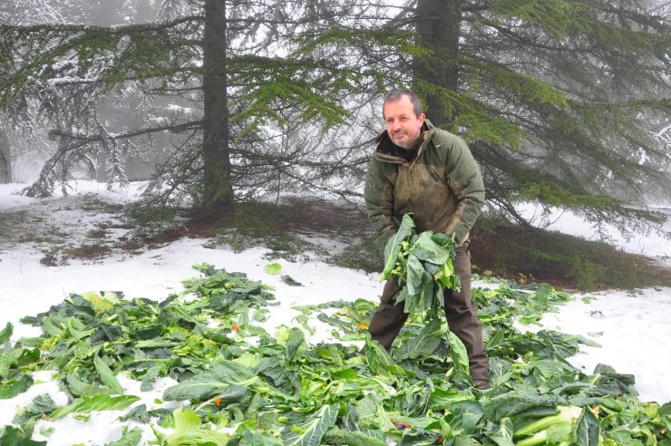 Manisa'da kar sevinci