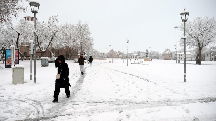 Beyaz berejet Konya Ovası'na 'can suyu' oldu