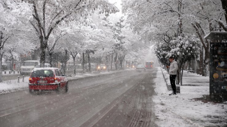 Beyaz berejet Konya Ovası'na 'can suyu' oldu