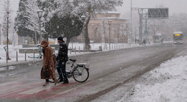 Beyaz berejet Konya Ovası'na 'can suyu' oldu
