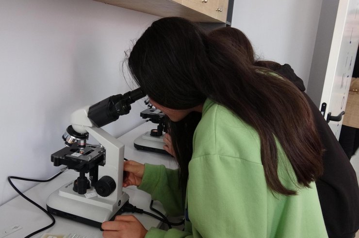 Yılda 40 ton altın ekonomiye kazandırılıyor