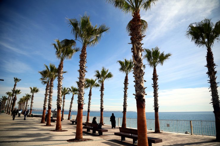 Her yerde kar kış, burada bahar havası