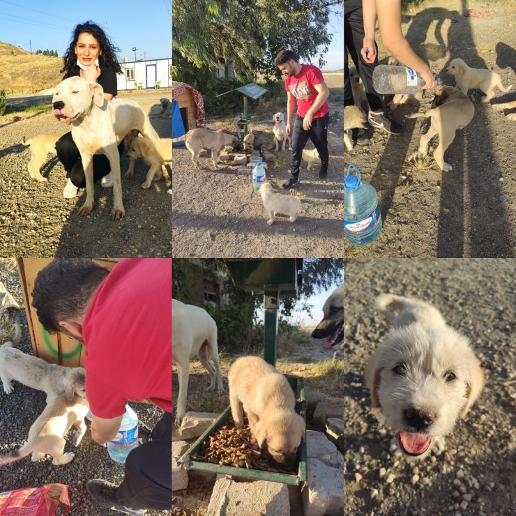 Aksaraylı öğretmen çift ve bebekleri, depremde yaşamını yitirdi