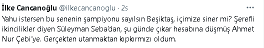 cebi-1.png