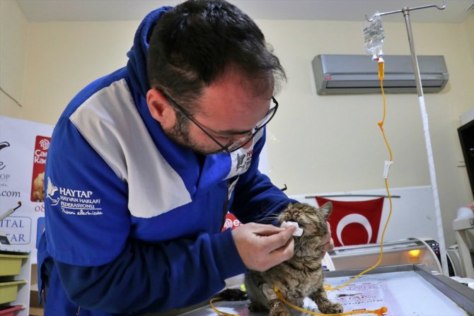 120 saat sonra enkazdan kurtarılan kedi Osmaniye'de tedaviye alındı