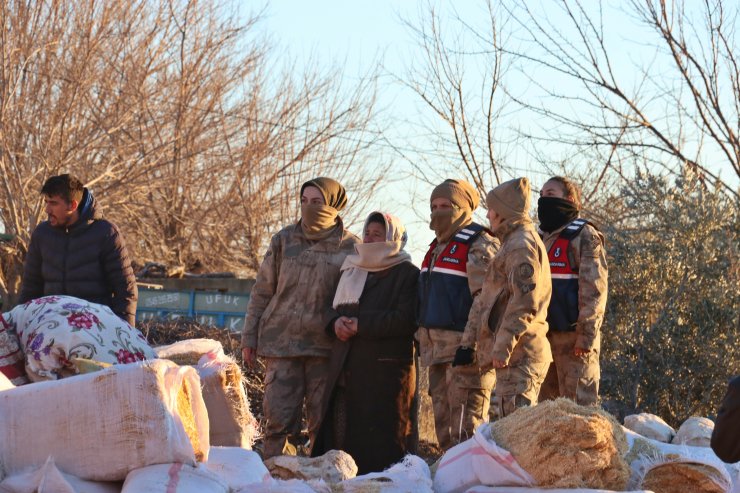 11 gün göçük altında 'Bircan' isimli inek, kurtarıldı