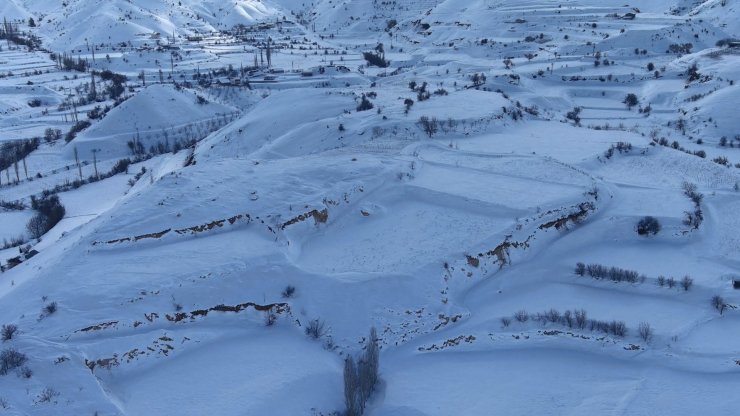 Deprem sonrası Adıyaman'ın tarlalarında değişiklik!