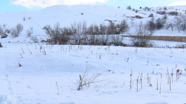 Deprem sonrası Adıyaman'ın tarlalarında değişiklik!