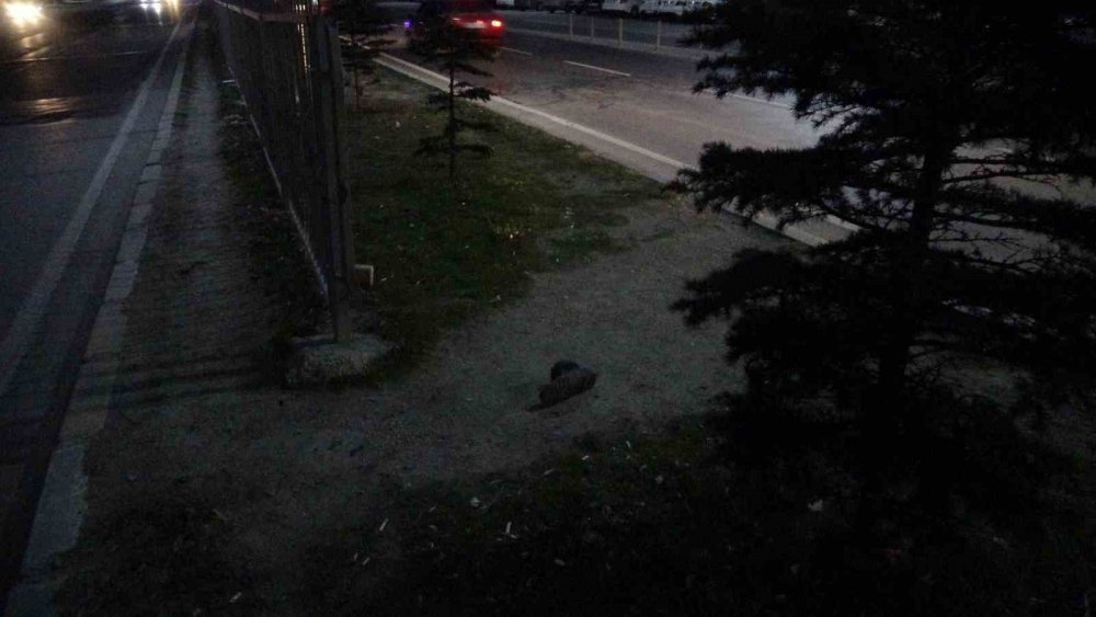 Otomobilin çarptığı yaya ağır yaralandı