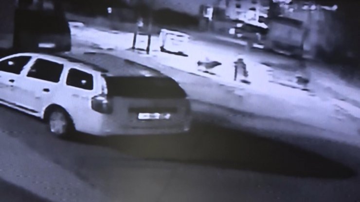 Sokak köpekleri çocuklara saldırdı