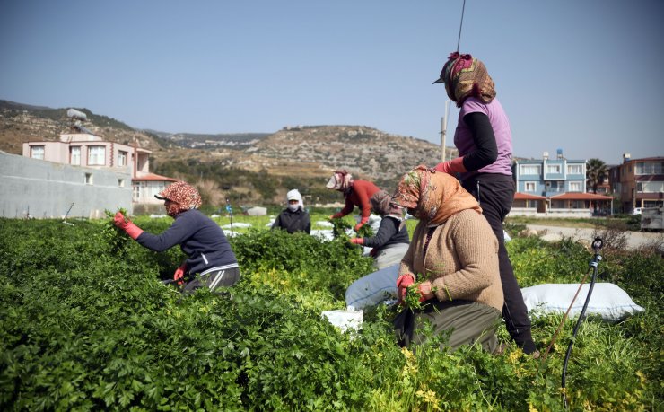 Üreten depremzedeler bölgedeki ihtiyaçları karşılamaya çalışıyor