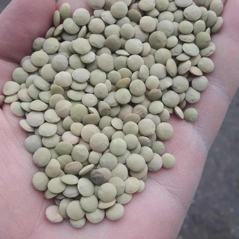 Konya Kulu’da ekimler başladı