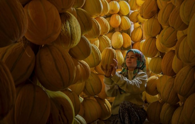 Konya'dan kısa kısa