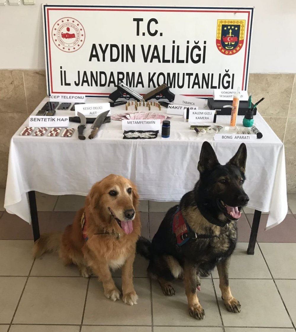 Aydın'da uyuşturucu operasyonu