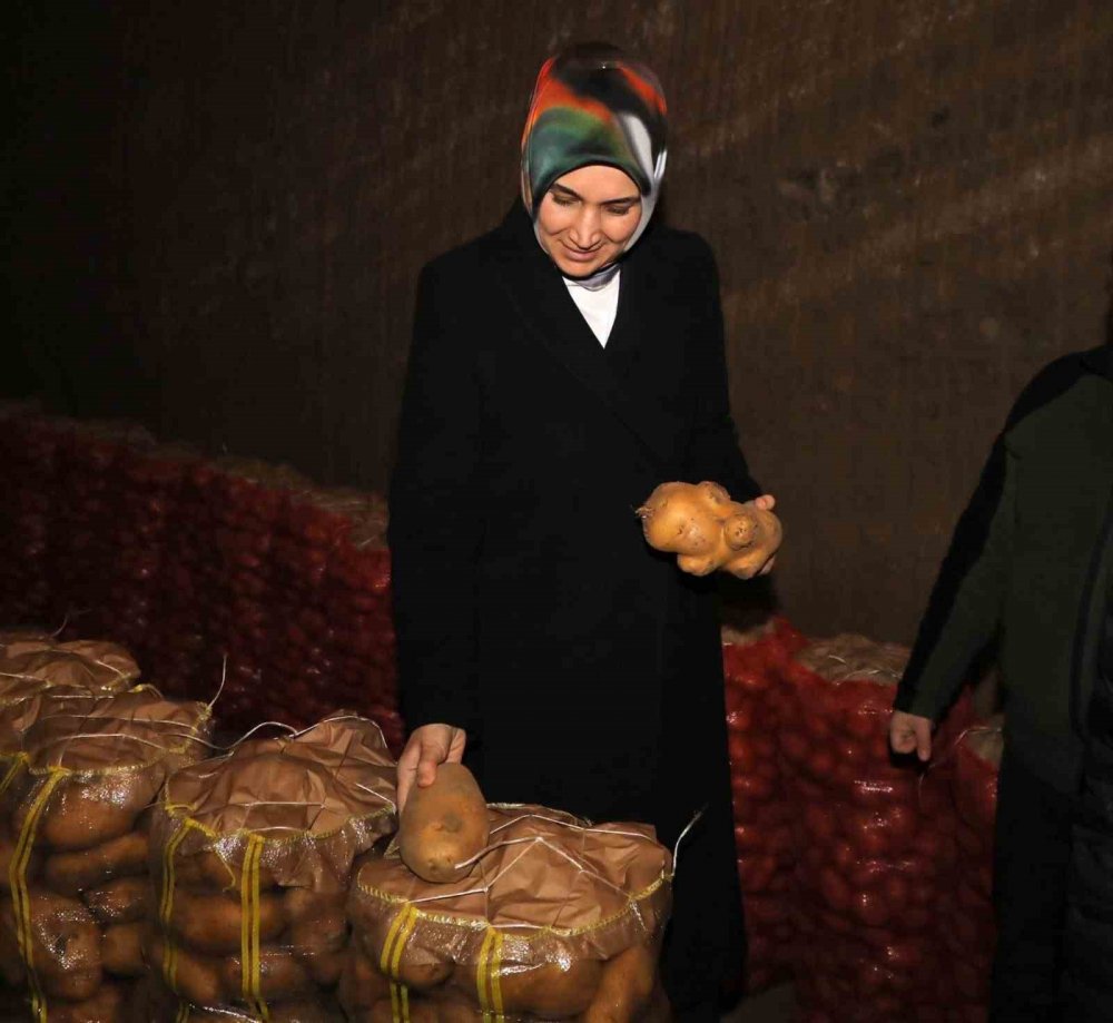 Patates doğal yöntemlerle 1 yıl saklanıyor