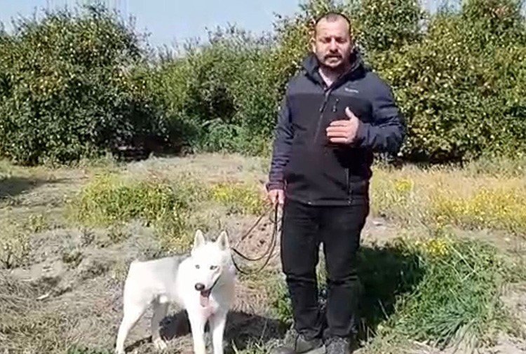 "Konya firmasıyız" diyerek depremzedenin 60 bin TL'sini dolandırdılar