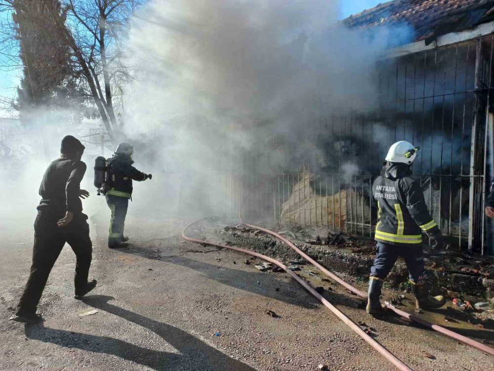 Müstakil evde çıkan yangın spot eşyaları küle çevirdi
