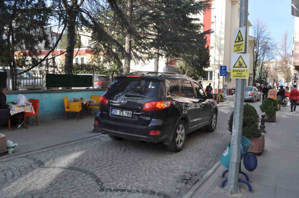 Ara sokakta hız yapan duyarsız sürücüler için 'kedili' önlem