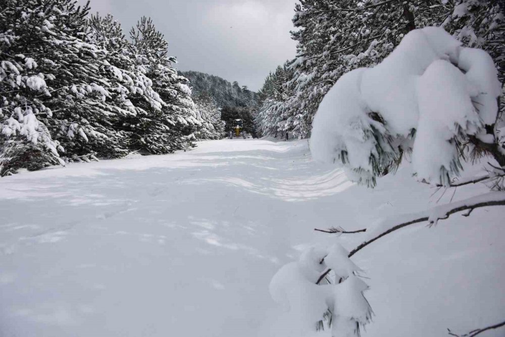 İki gündür etkili olan yoğun kar nedeniyle 15 köye ulaşım sağlanamıyor