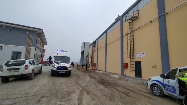 Mısır silosunda acı ölüm!